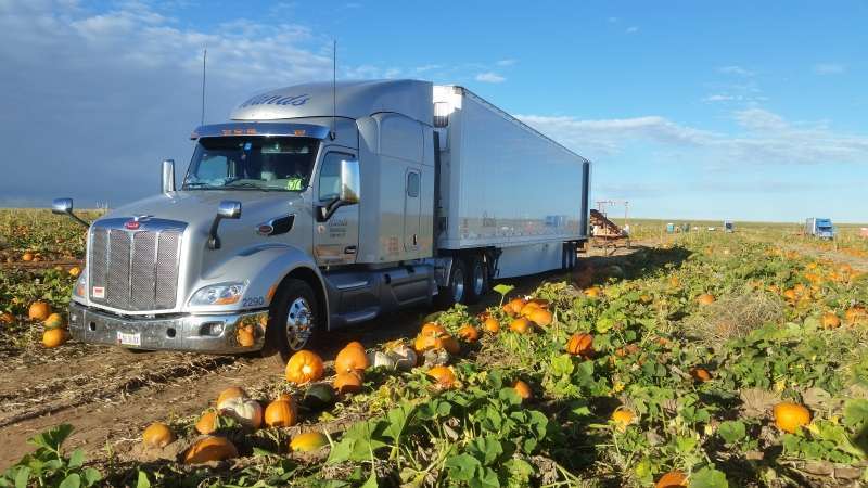 Truck in pumpkin patch
